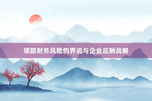 领路财务风险的界说与企业应酬战略