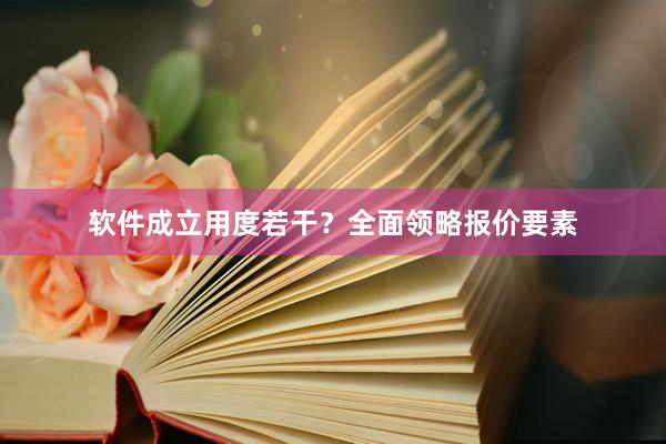 软件成立用度若干？全面领略报价要素