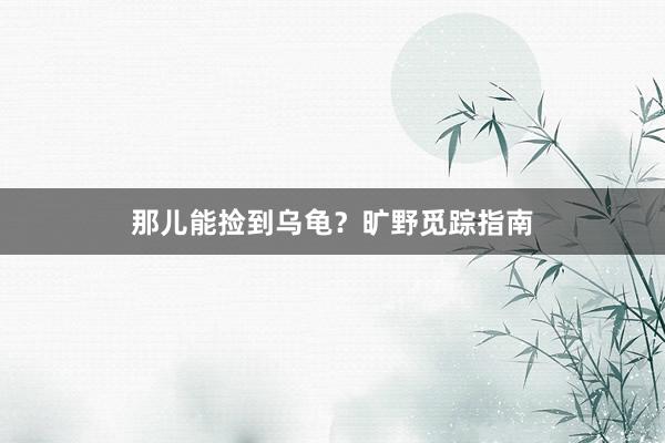 那儿能捡到乌龟？旷野觅踪指南