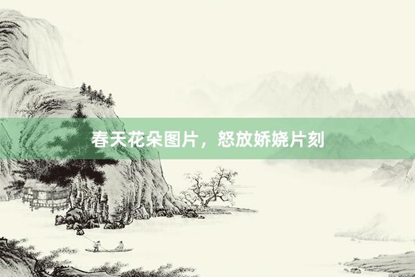 春天花朵图片，怒放娇娆片刻