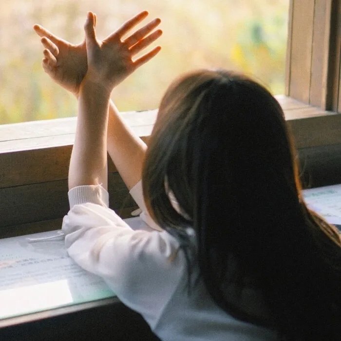 文森特与世界的尽头